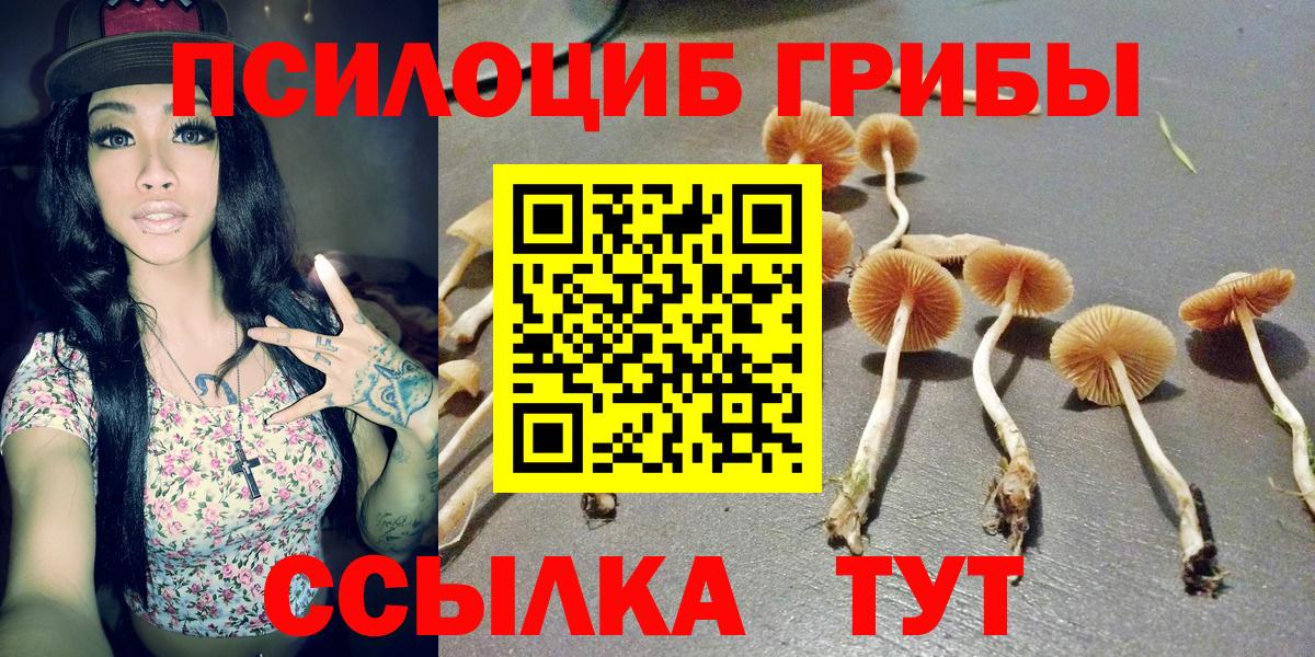 Галлюциногенные грибы ЛСД Оренбург