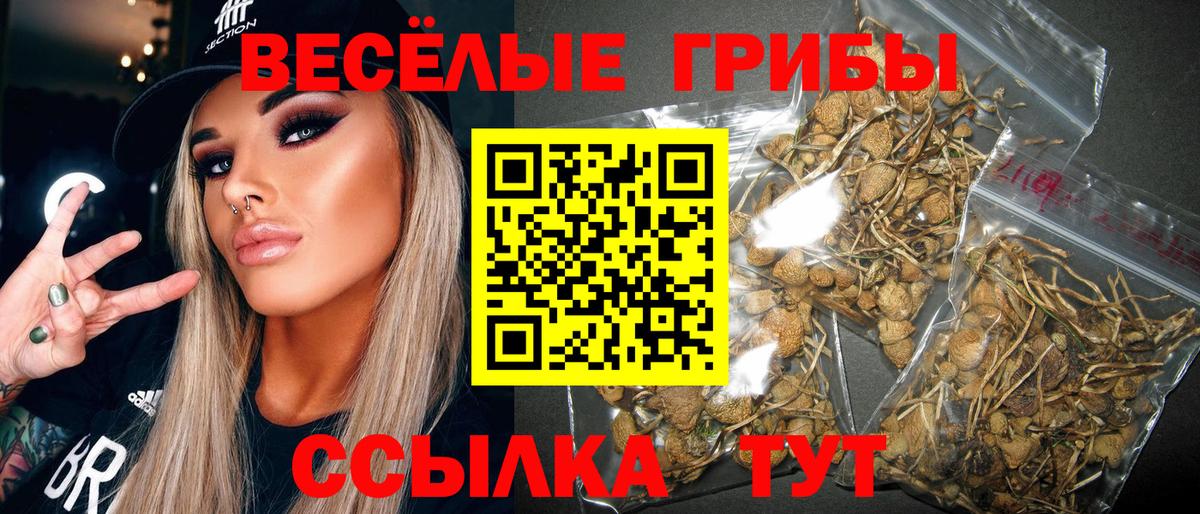 Оренбург  Галлюциногенные грибы GOLDEN TEACHER  цены   Вход с VPN  Псилоцибиновые грибы прущие грибы 